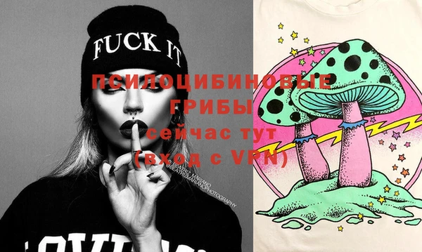 стафф Верхний Тагил