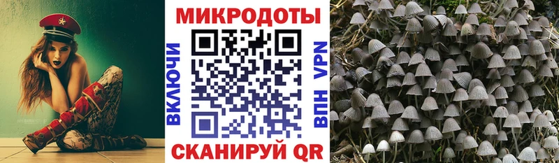 hydra ссылка  Верхнеуральск  Псилоцибиновые грибы прущие грибы 