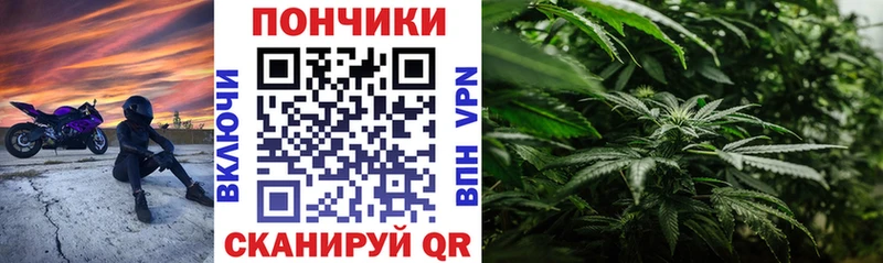 Бошки Шишки конопля  где найти   Верхнеуральск 